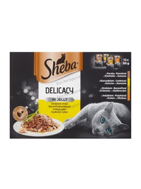 Sheba Delicacy baromfi válogatás aszpikban felnőtt macskák számára 12x 85g