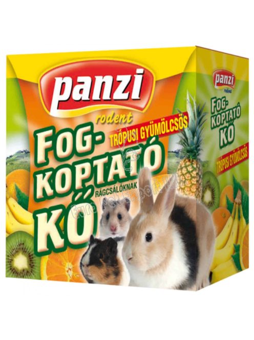 PANZI FOGKOPTATÓ KŐ  55G TRÓPUSI