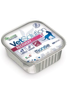 MONGE CAT VetSolution Recovery 100g